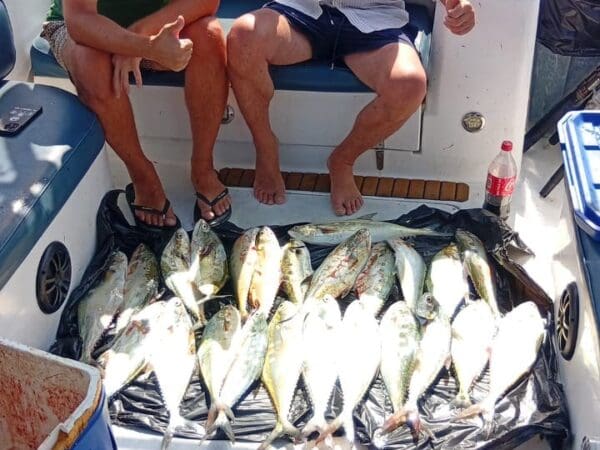 fishing image Oct 2025